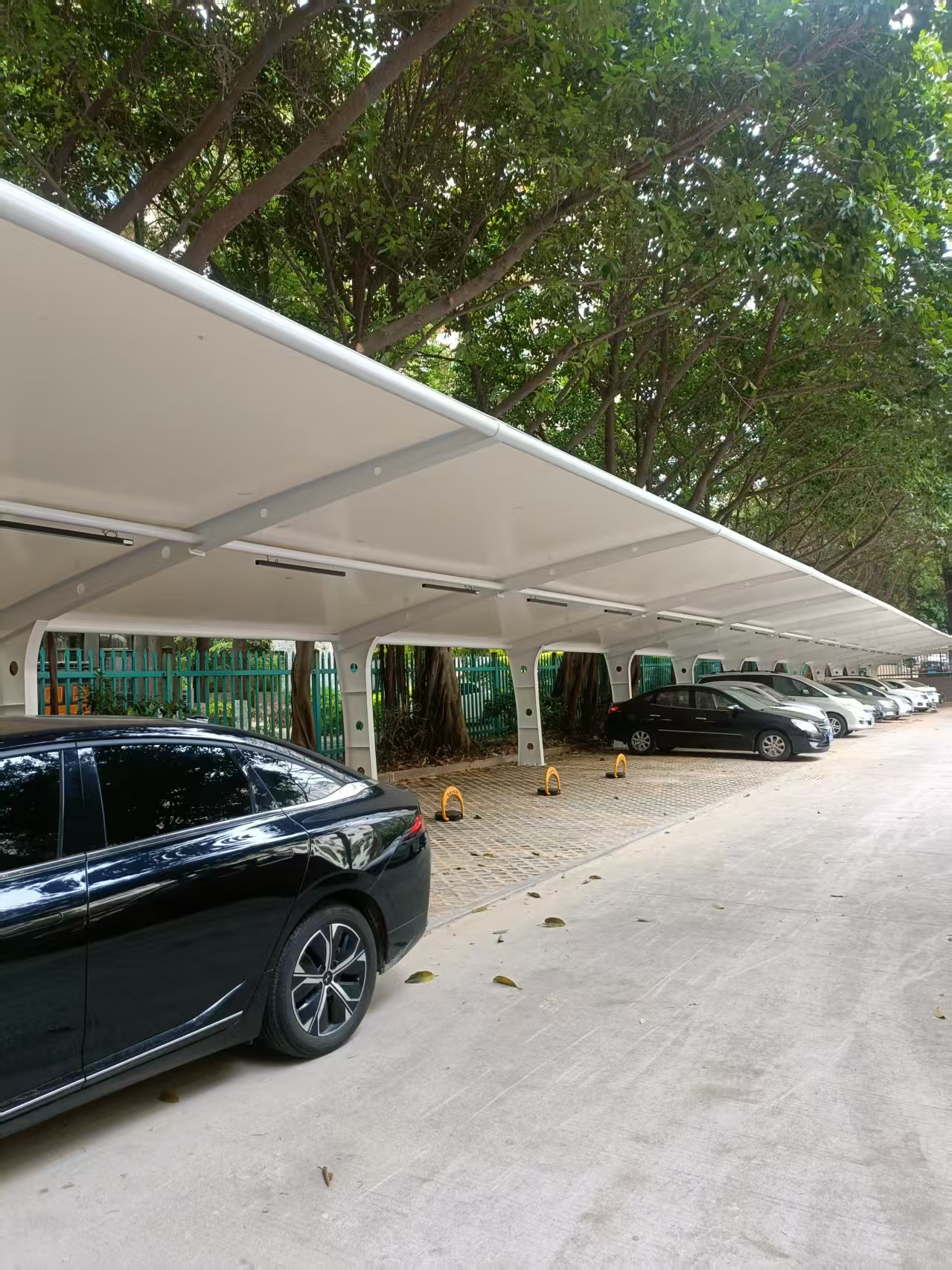 晋江市残疾联合会案例-400m²